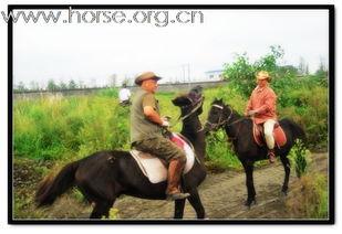 骑马游中国网红,网红带你穿越千年——骑马游中国的魅力之旅
