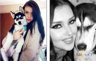 网红表情包二哈图片,萌宠界的“表情帝”