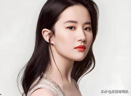 女明星现状,女明星现状解析与未来展望